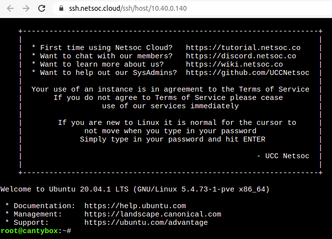 tutorial-webterm.png